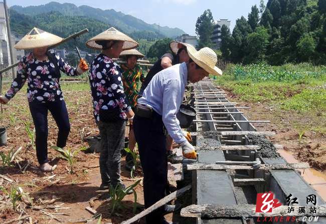 達嵐鎮(zhèn)最新項目，地區(qū)發(fā)展的強大引擎驅動力