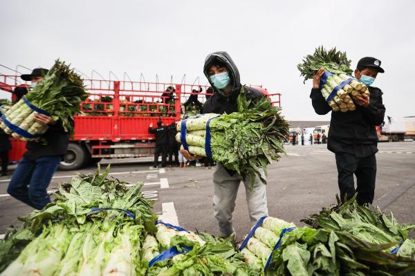 江蘇洋蔥價格最新行情解析